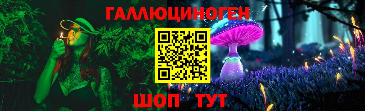 Псилоцибиновые грибы Psilocybe Балашов